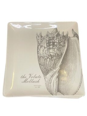Creative co-op Set of 2 Square Shell Salad Lunch Plates Coastal Beach Life